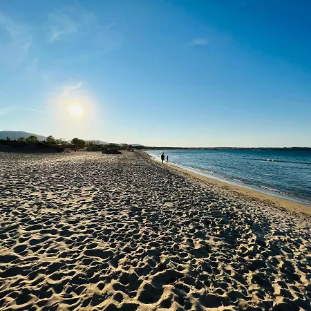 Gradina Garden B33 Apartament *